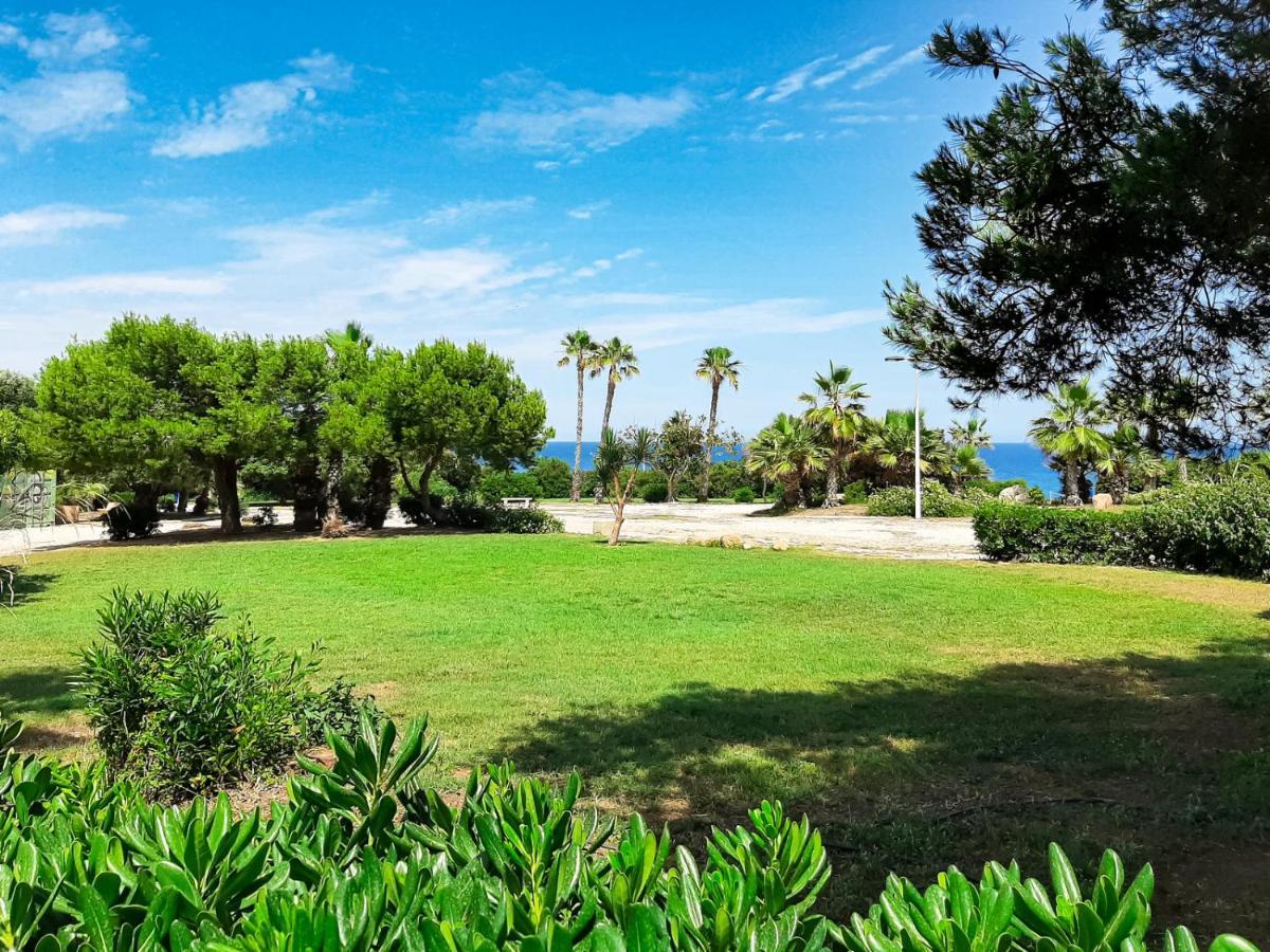 Miramar Magic Sea & Sunrise View Lejlighed Torrevieja Eksteriør billede